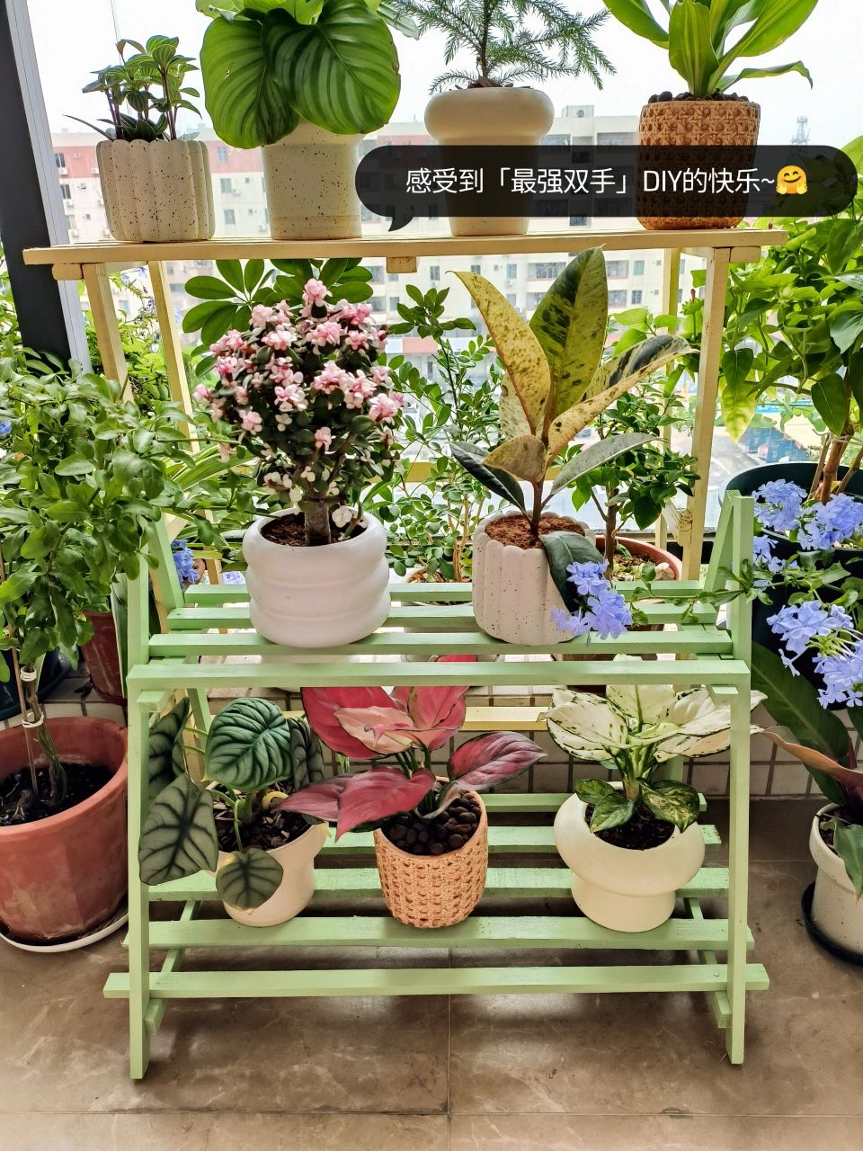 路边捡的废弃木条 diy改造成一个阳台花架 废物再利用  满满的成就感