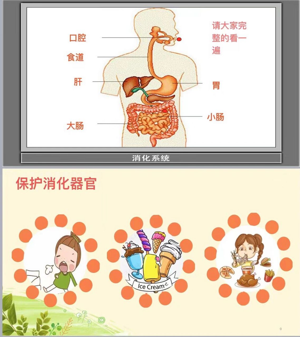 幼师必备|幼儿园公开课《食物旅行记》 93大班健康:食物旅行记 93
