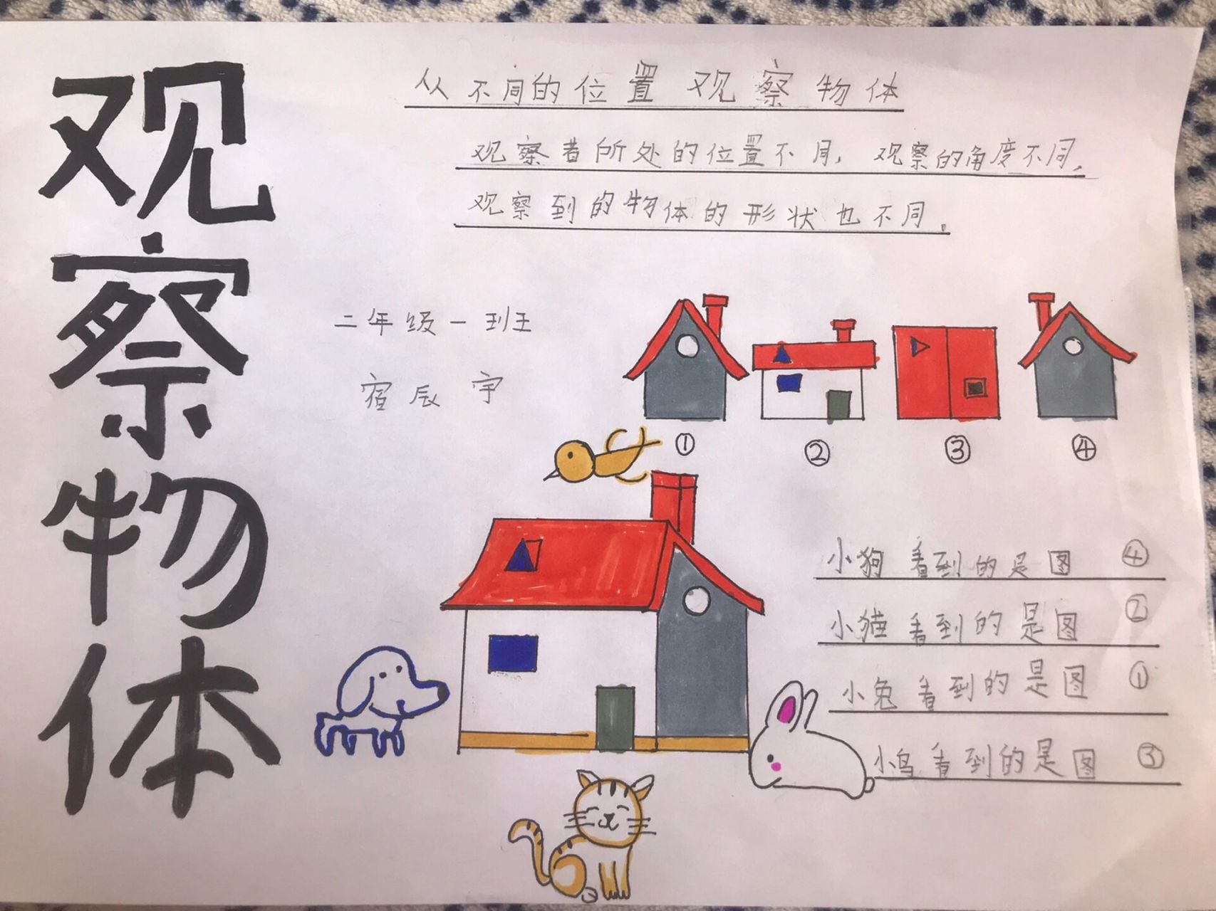 二年级下册数学观察物体手抄报 二年级下册数学观察物体手抄报