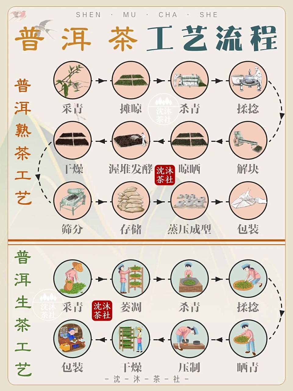 一图看懂普洱茶制作工艺🌿原来是这么制成 🍓时不时有茶友问沈沐,