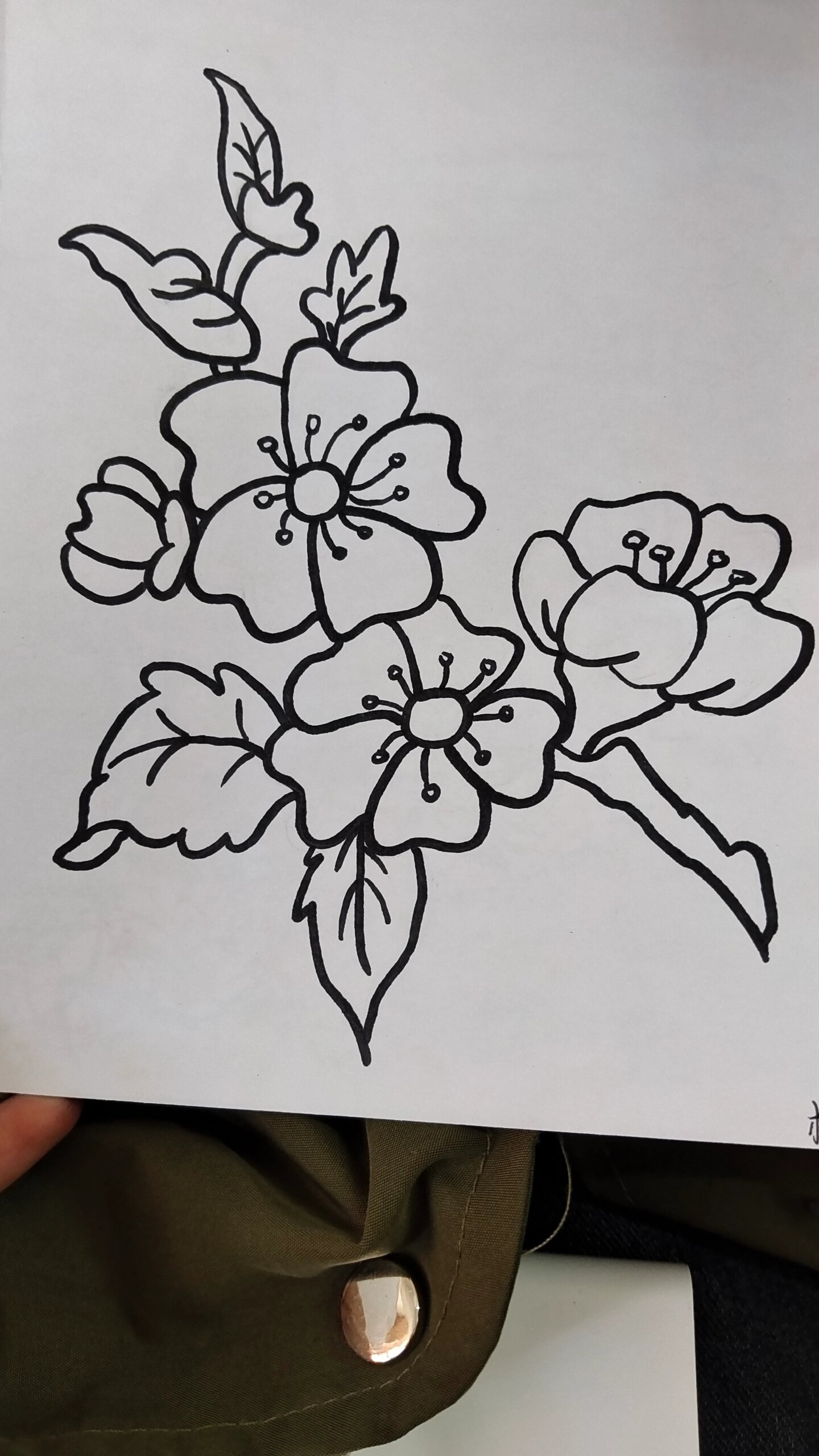 桃花 简笔画 西瓜太郎彩笔 桃花简笔画 临摹 用没油的彩笔画太高级了