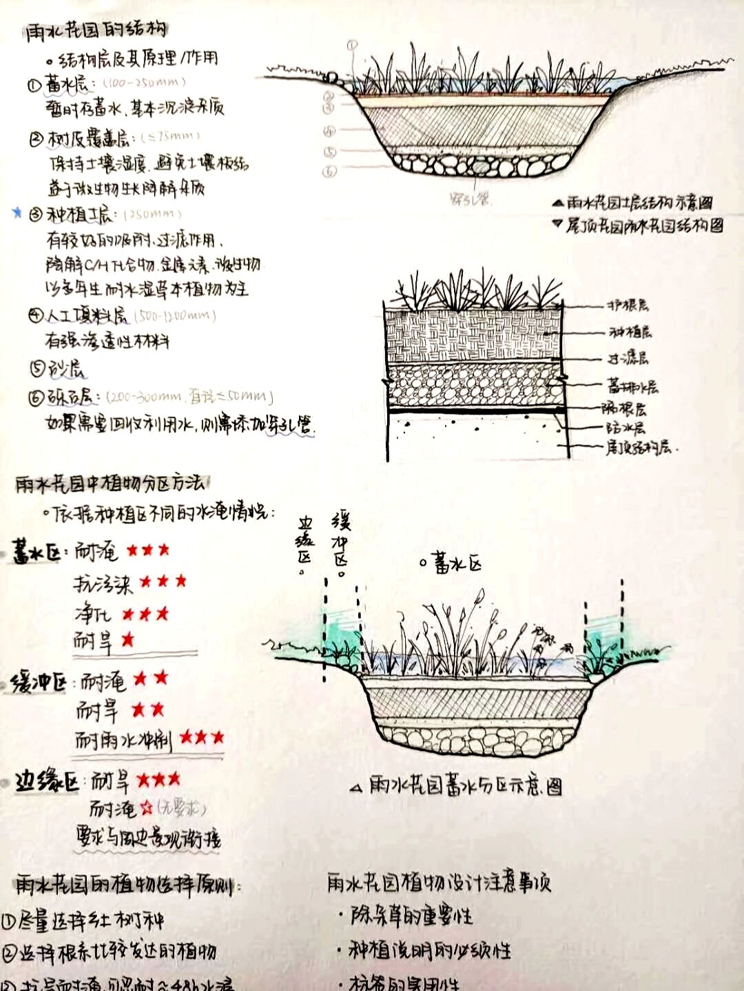 雨水花园结构分析图图片