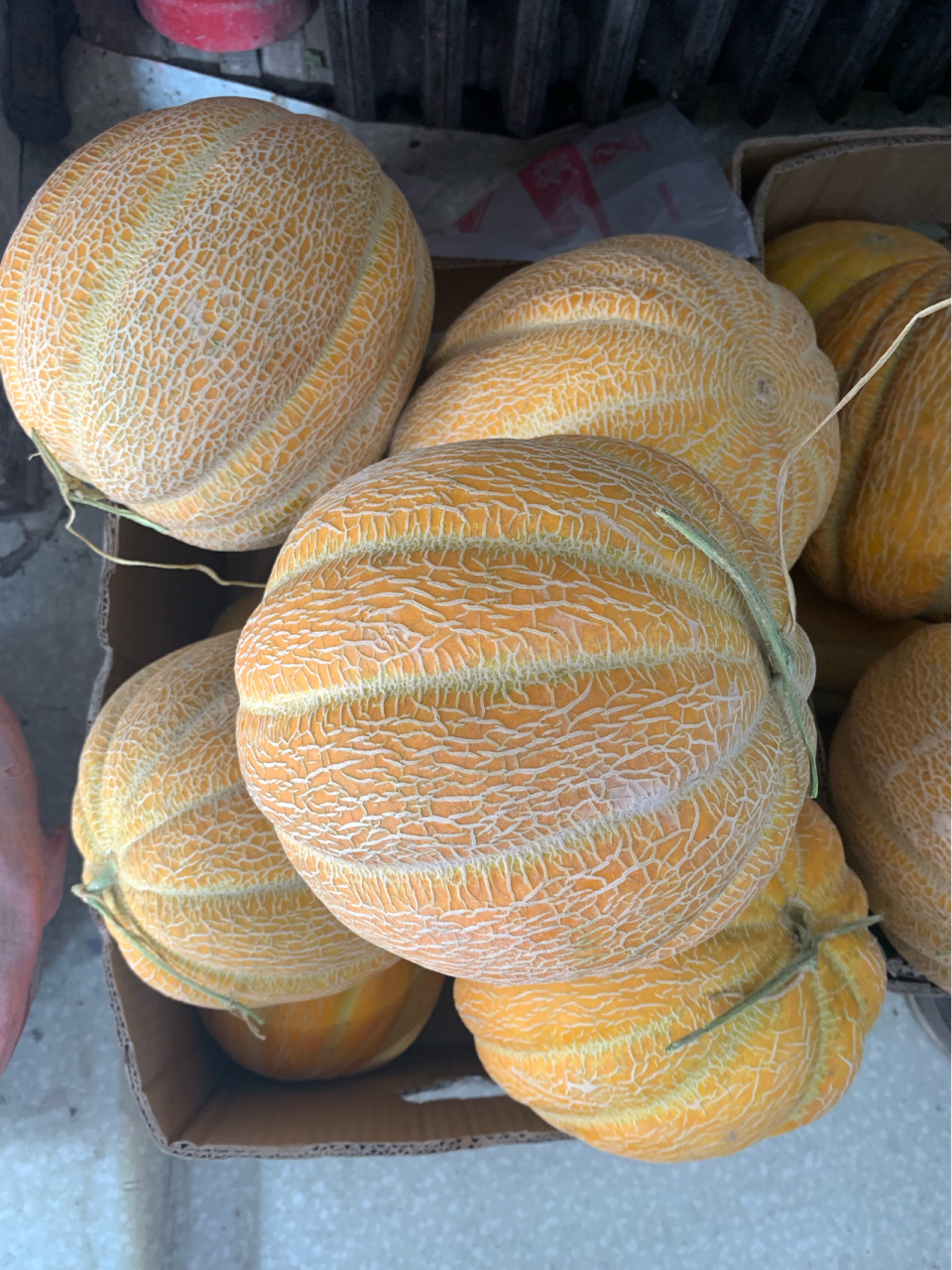 新疆老汉瓜 今天路过小巷子发现有家水果店卖老汉瓜 大老远看还以为是