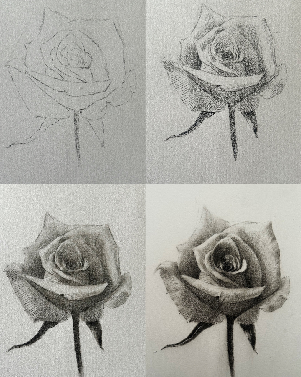 超详细素描玫瑰花卉步骤图95        用五边形概括出花的大型,再加