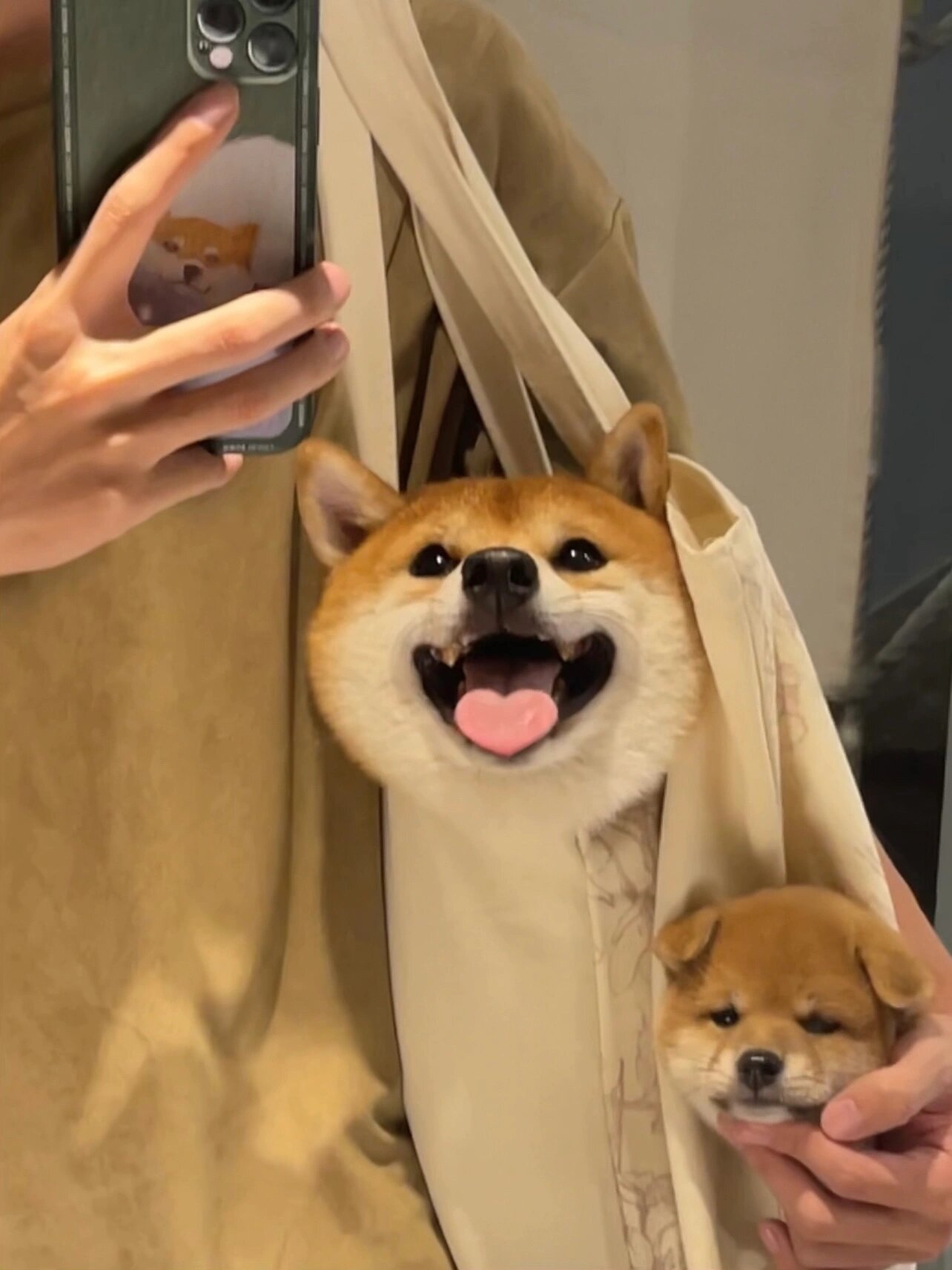 小狗狗张嘴就是爱你的形状