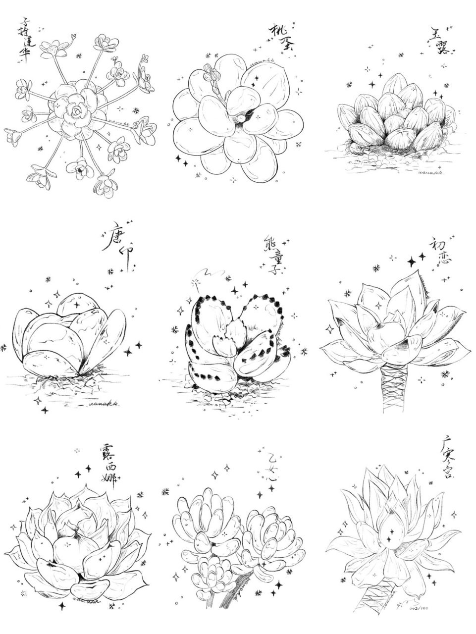 速写九宫格丨多肉植物线稿丨34-42 更新了新的九宫格,大家快去点赞