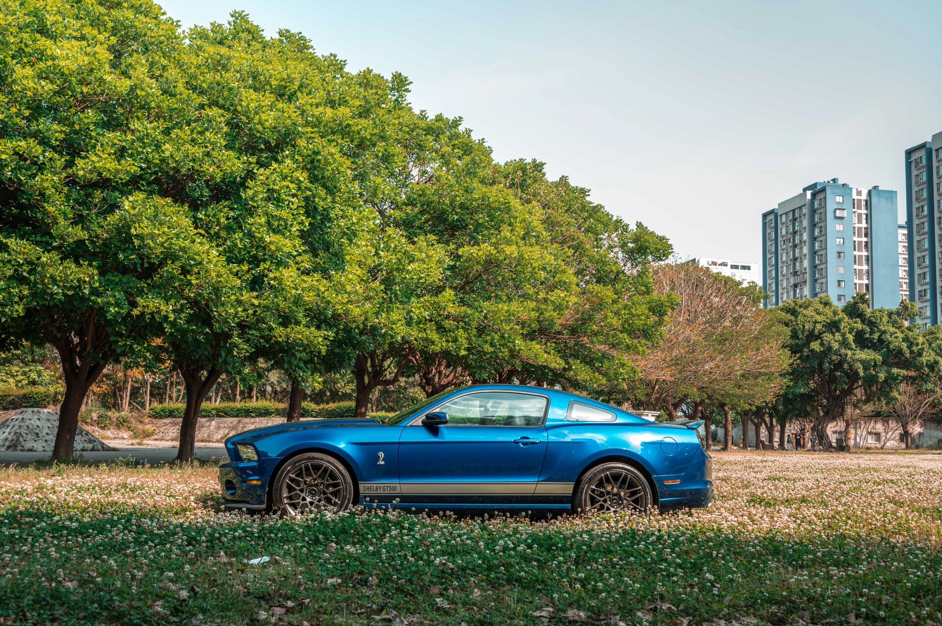 8t mt手动 全国唯一在售      谢尔比眼镜蛇 gt500 5.