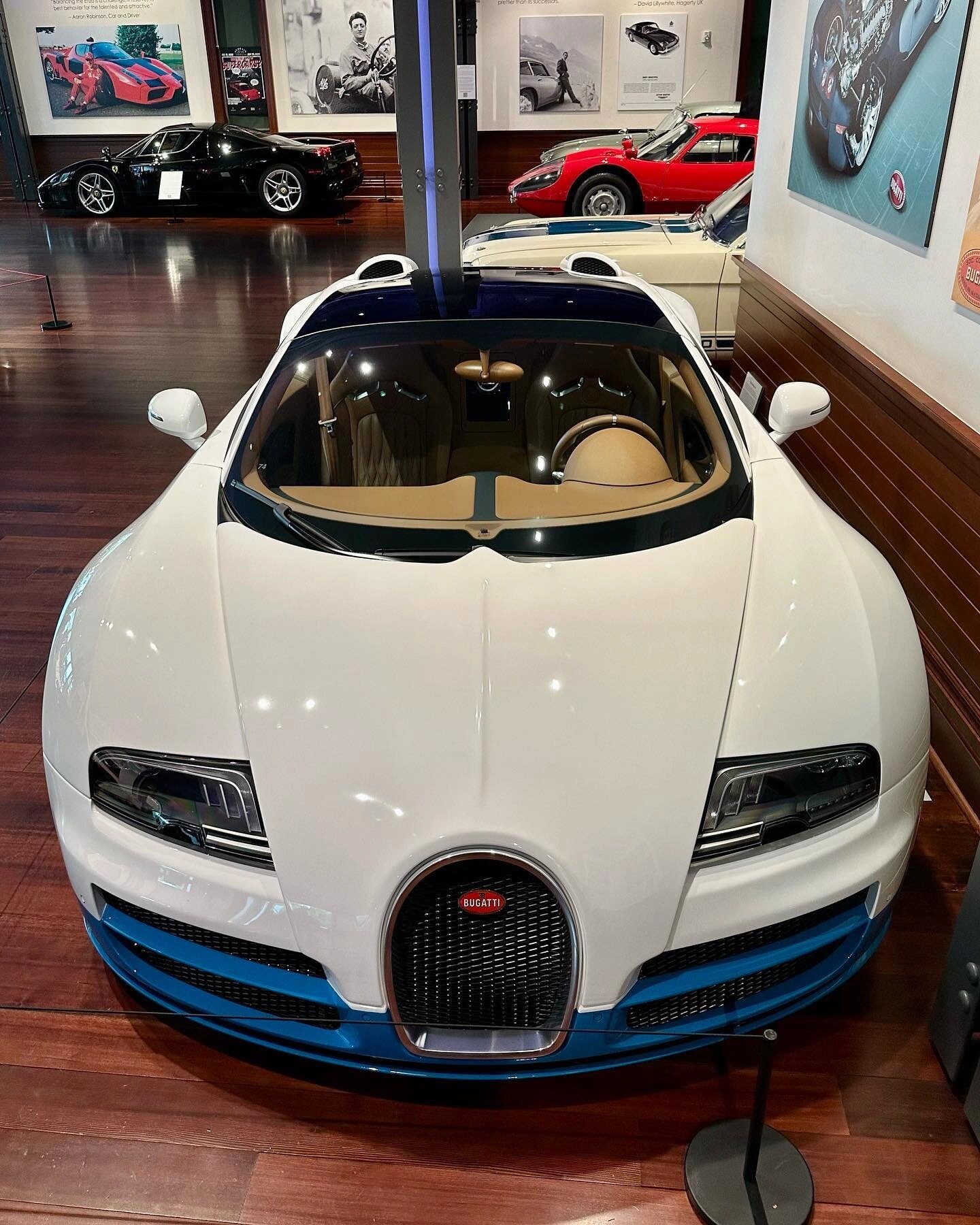 布加迪(bugatti) 威龙