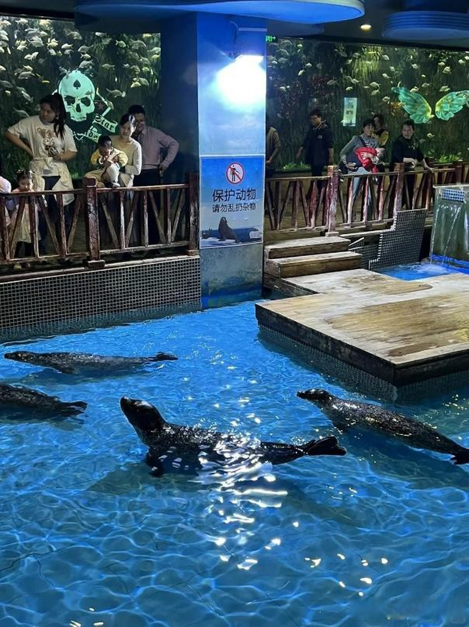 没错,那就是郑州海洋馆!