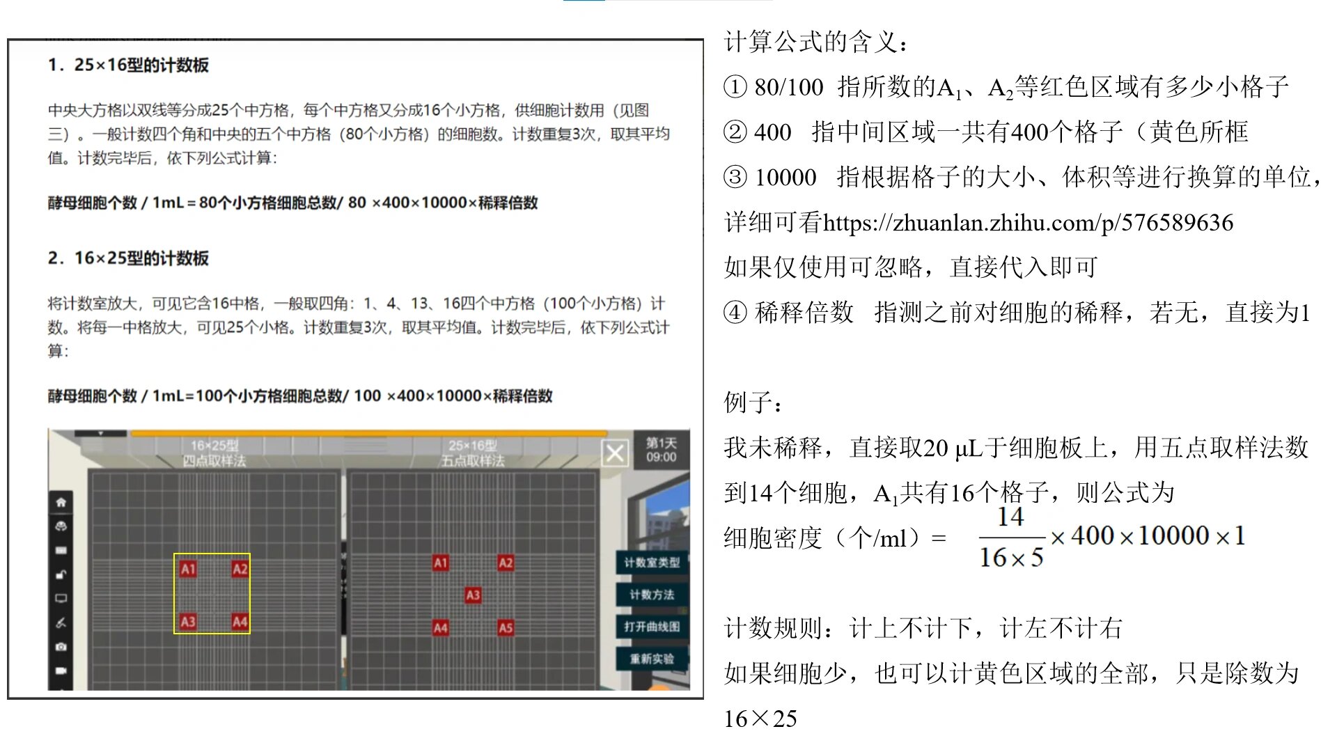 细胞计数板 细胞计数板公式  细胞个数/所数格的小格子数量×400