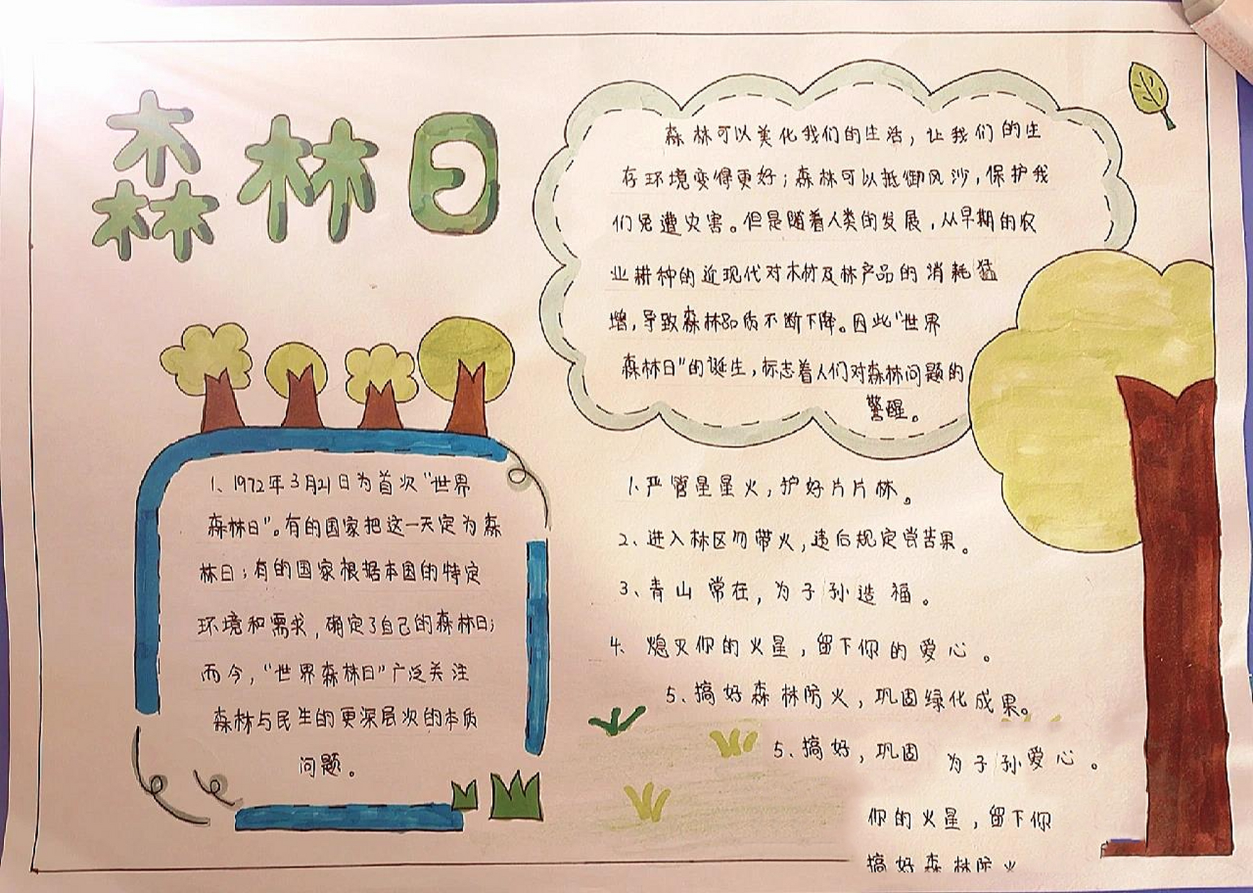 原创丨森林日手抄报 森林日手抄报来啦,可临摹