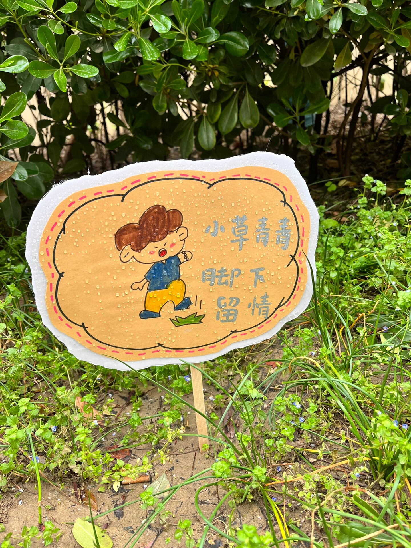 幼儿园爱护花草植物牌