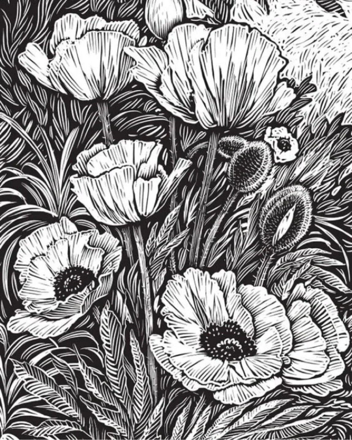 版画系列组合初中作品