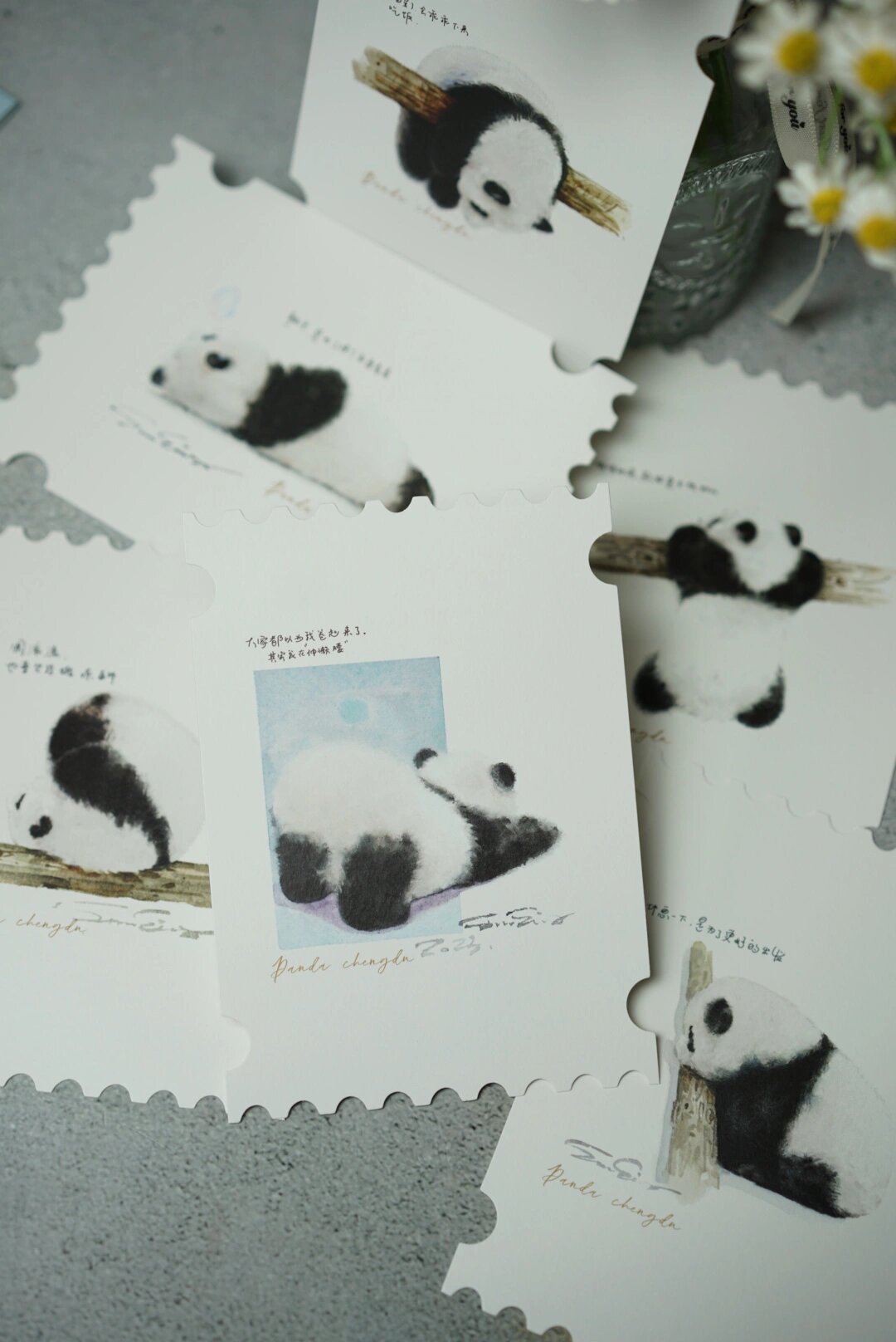 卖萌不停小熊猫明信片