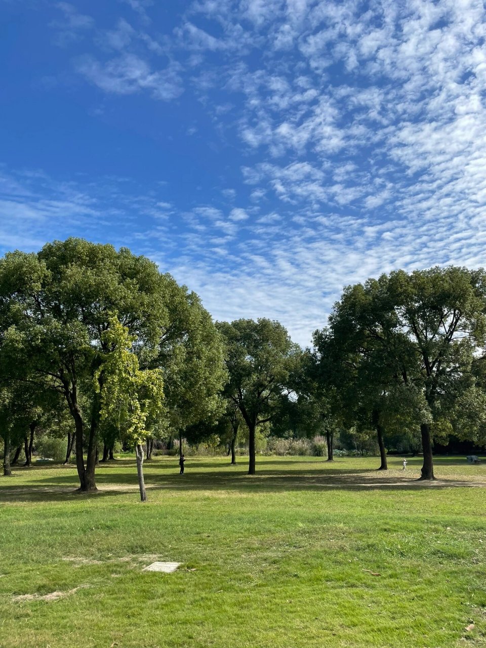 上方山国家森林公园(植物园) 爬一丢丢高的山,捡一丢丢的落叶秋果,心