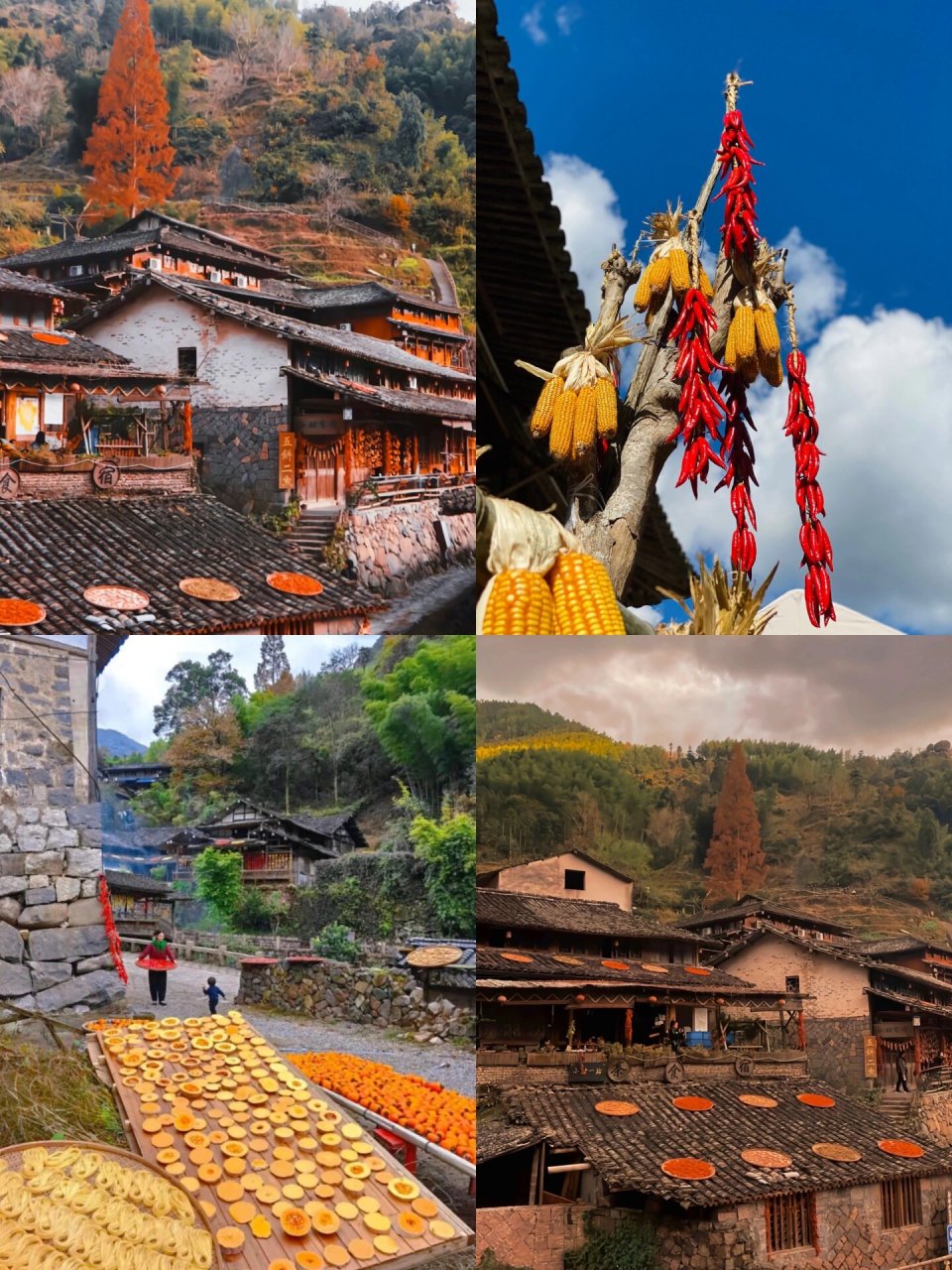比婺源还美的古村落,既然在温州❗️温州❗️ 温州林坑古村落