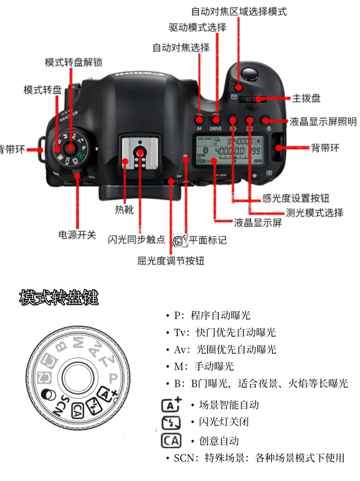 相机如何使用图片