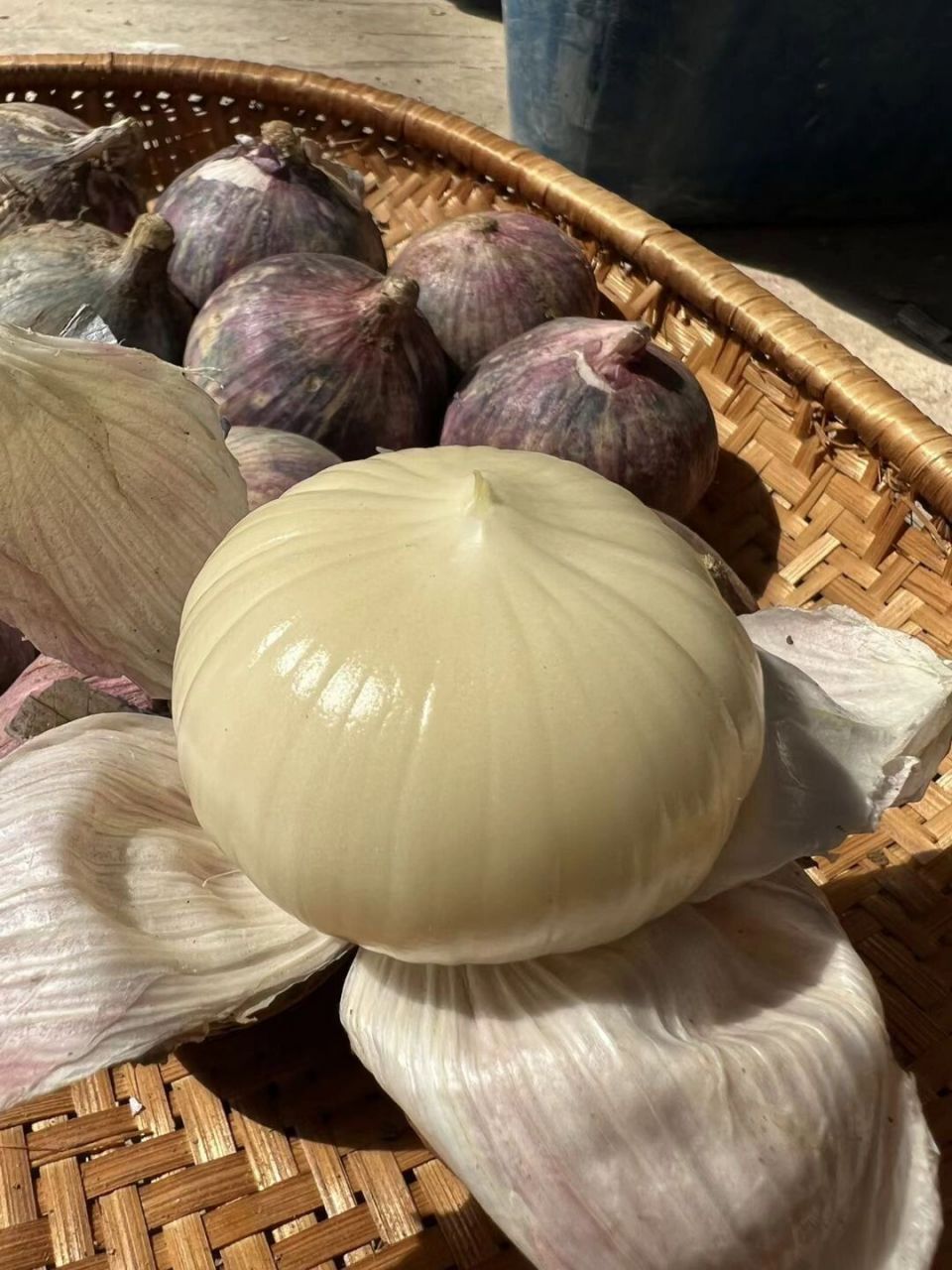 春食一把蒜 疾病根就断 云南大理紫皮独头蒜 春食一把蒜 疾病根就断