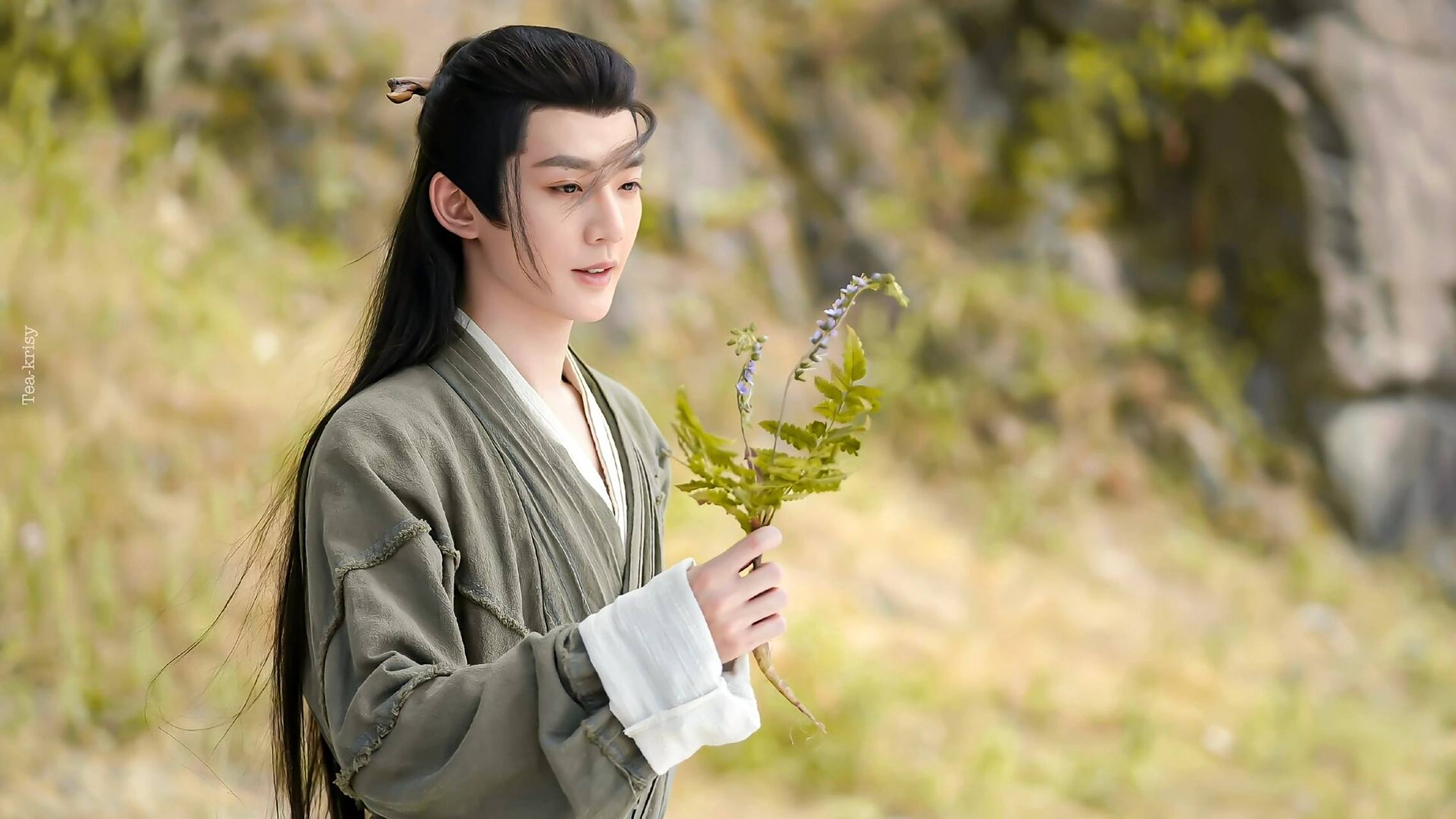 涂山璟高清横屏壁纸分享 是谁还没有给电脑桌面安排上呢