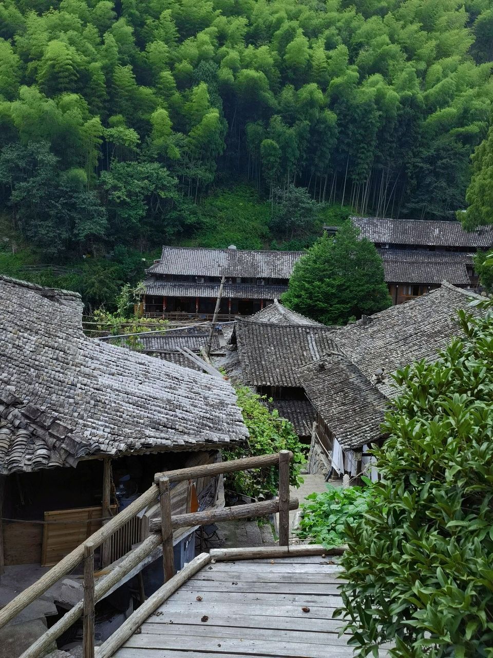 温州永嘉林坑古村落 冬天和夏天