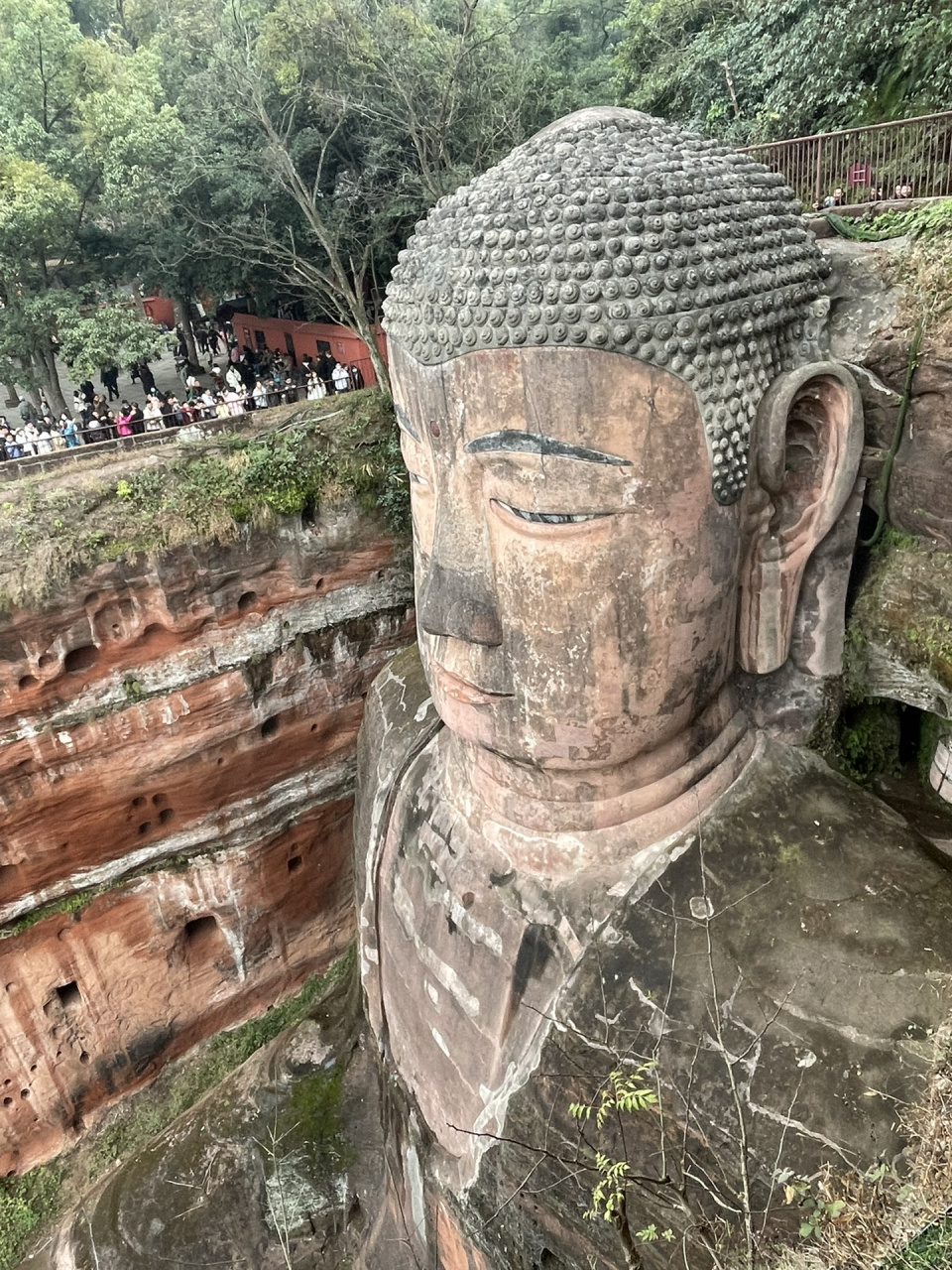 12乐山大佛一日游攻略 游览路线:北门进——参观大佛——南门出