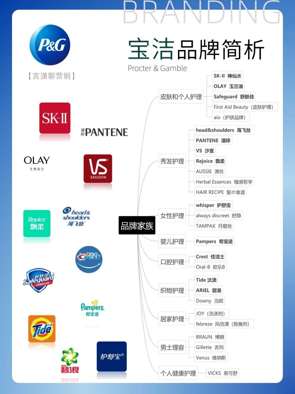 78 94宝洁品牌简析 73品牌家族 73营销简析 .