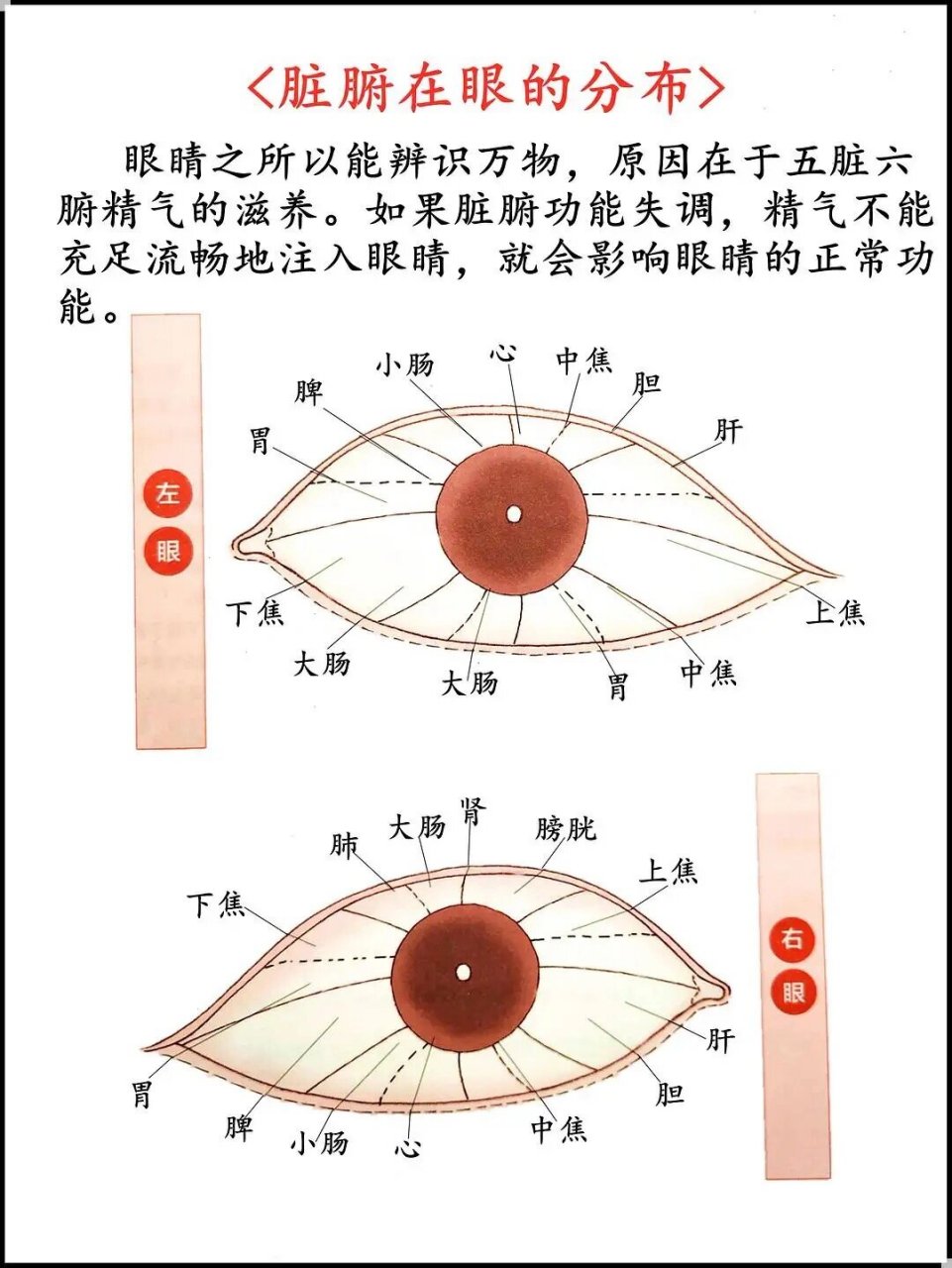 瑶医目诊图解图片