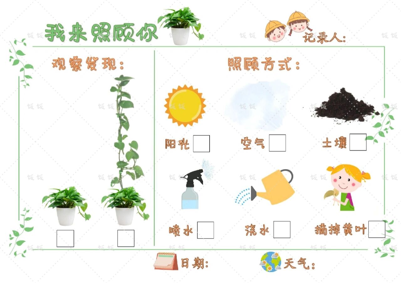 绿萝植物记录表图片