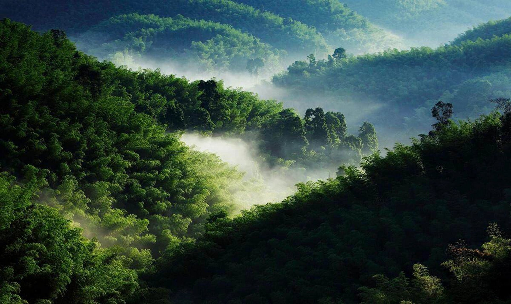 " 蜀南竹海, 位于四川宜宾市长宁县竹海镇, 由27条峻岭,500多座峰峦