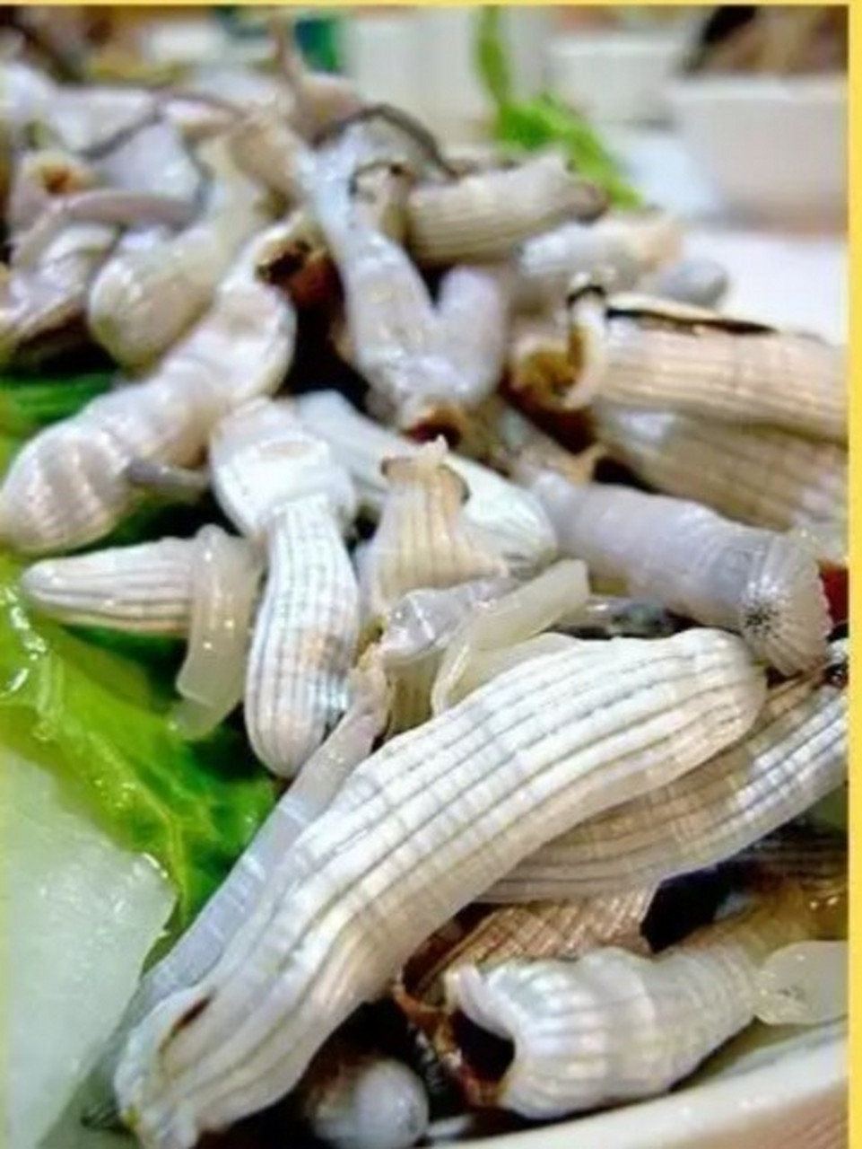 泥虫和沙虫的区别 很多朋友分不清泥虫和沙虫,今天我和大家分享一下我