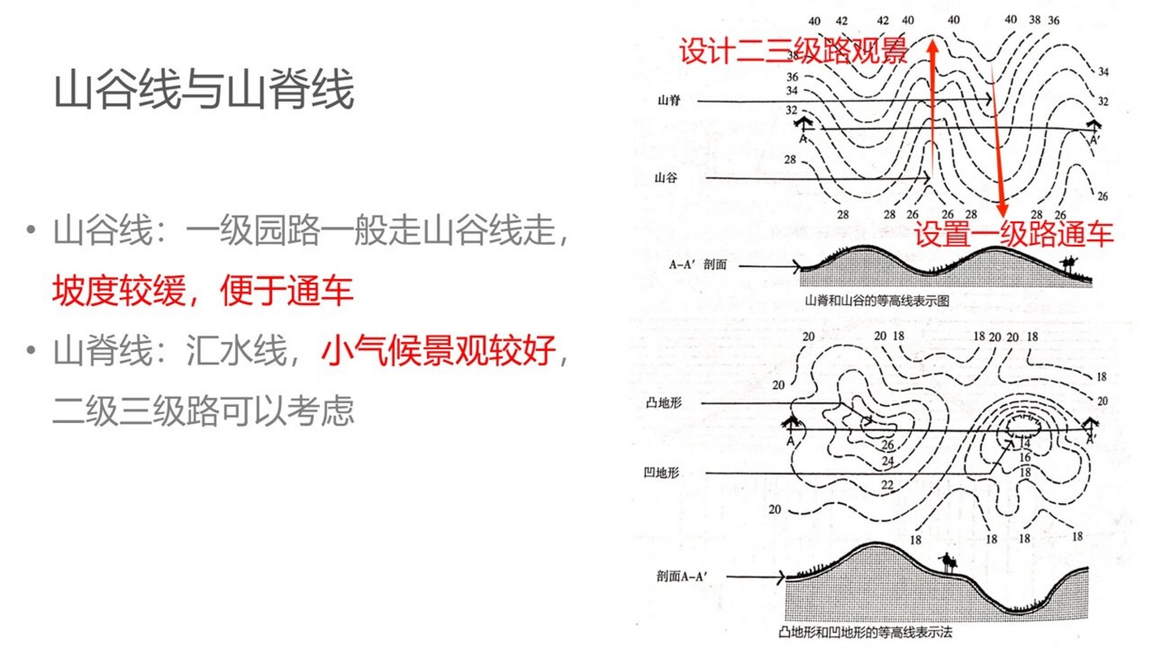 园林地形等高线的画法图片