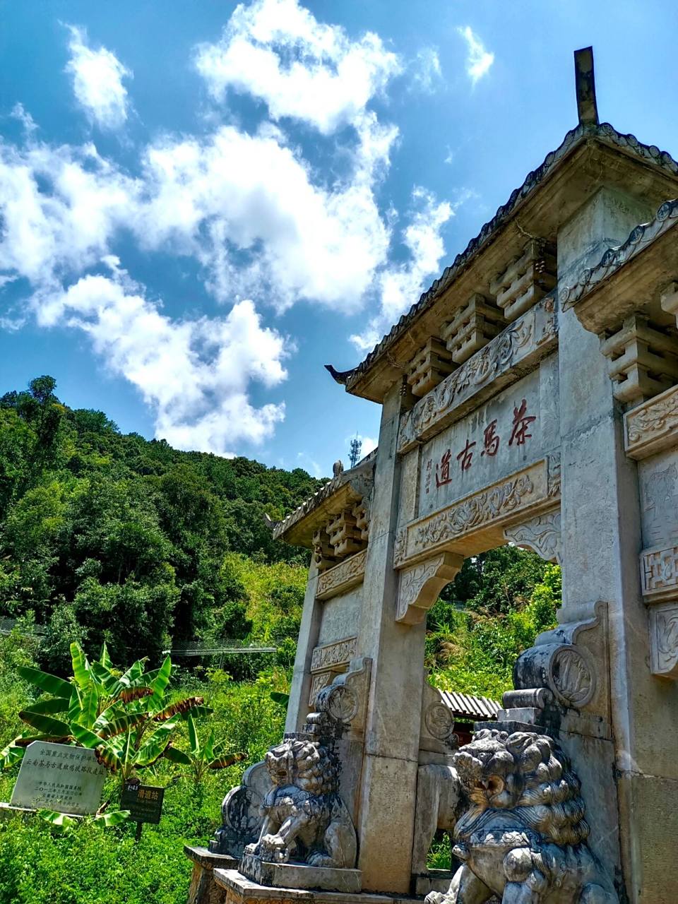 云南旅游 普洱茶马古道超全旅游攻略 来了西双版纳好多次了 都没去过