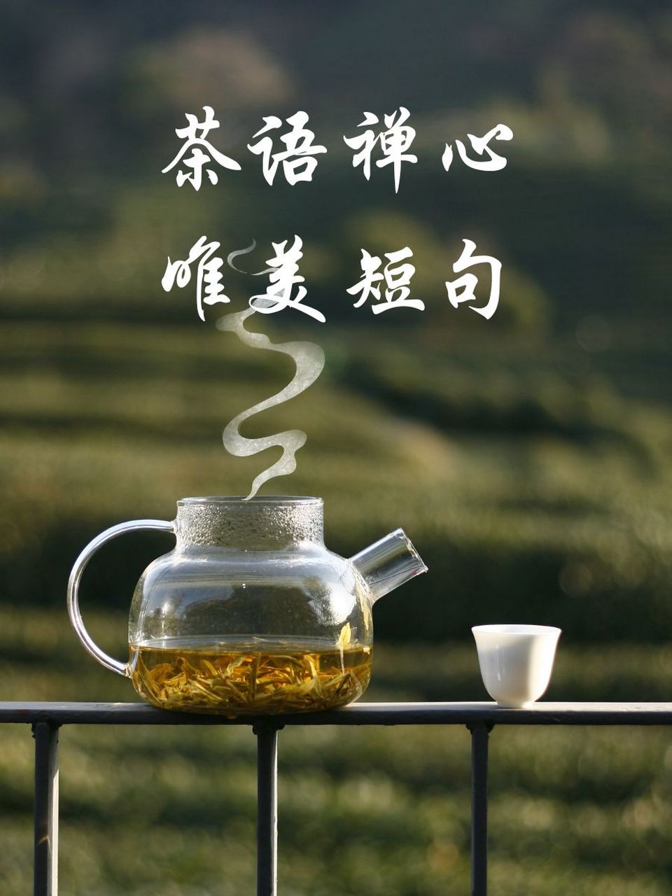 茶语心境图片