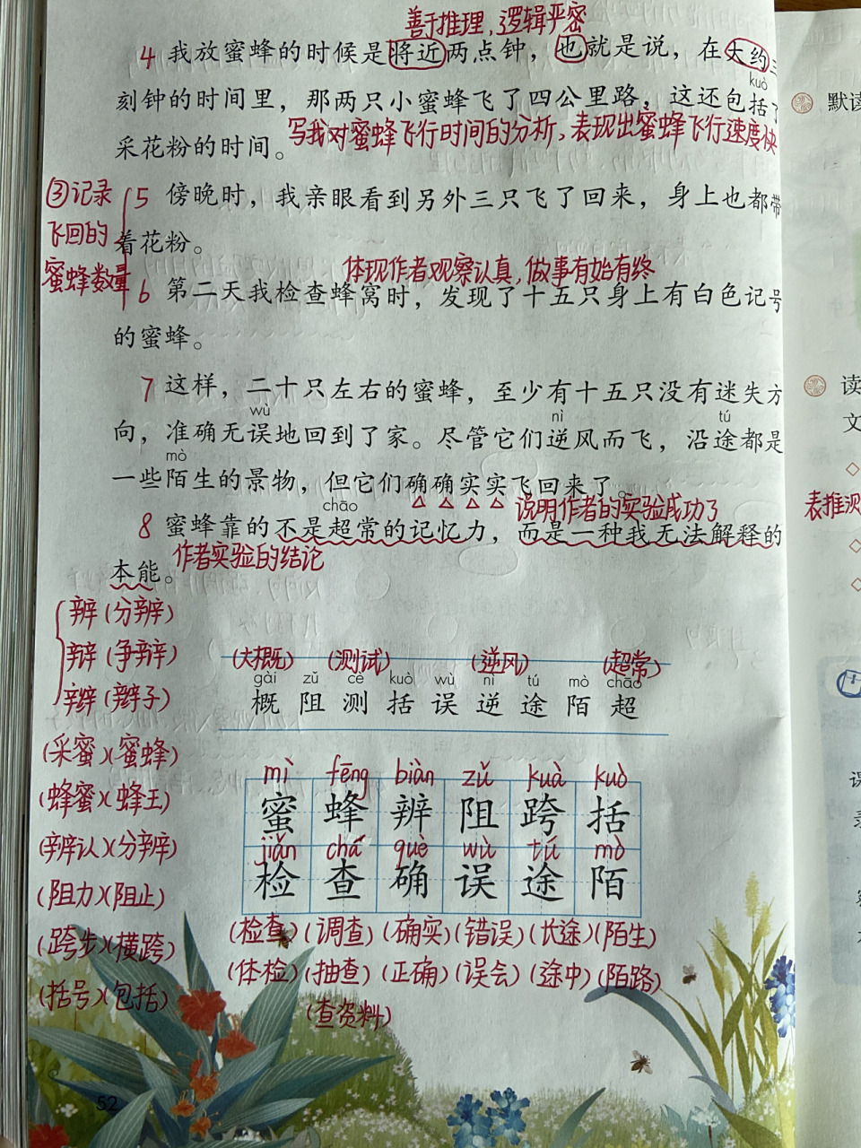 三年级语文下册 第14课 《蜜蜂》