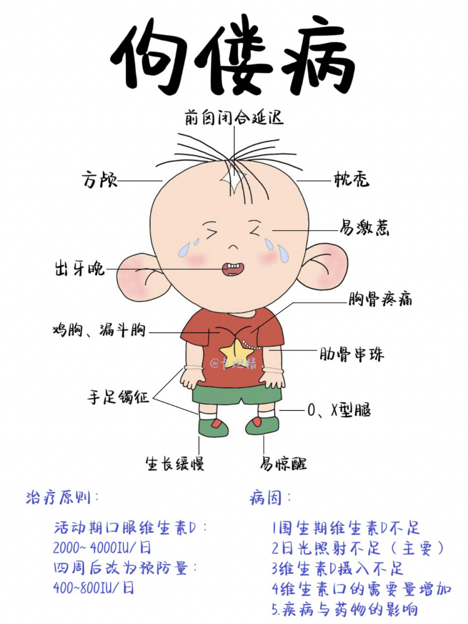 医学生笔记94/佝偻病