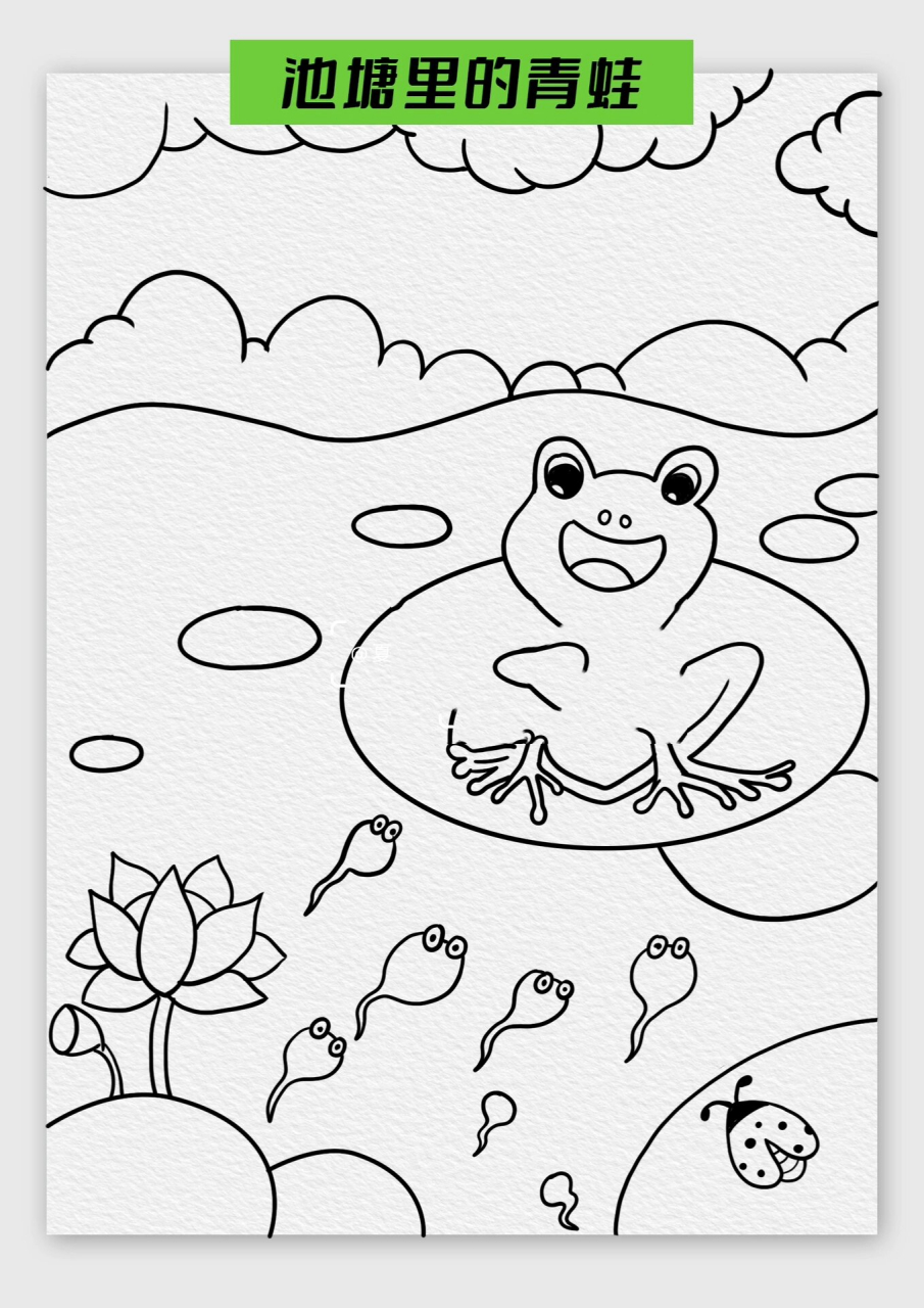 夏日池塘青蛙简笔画