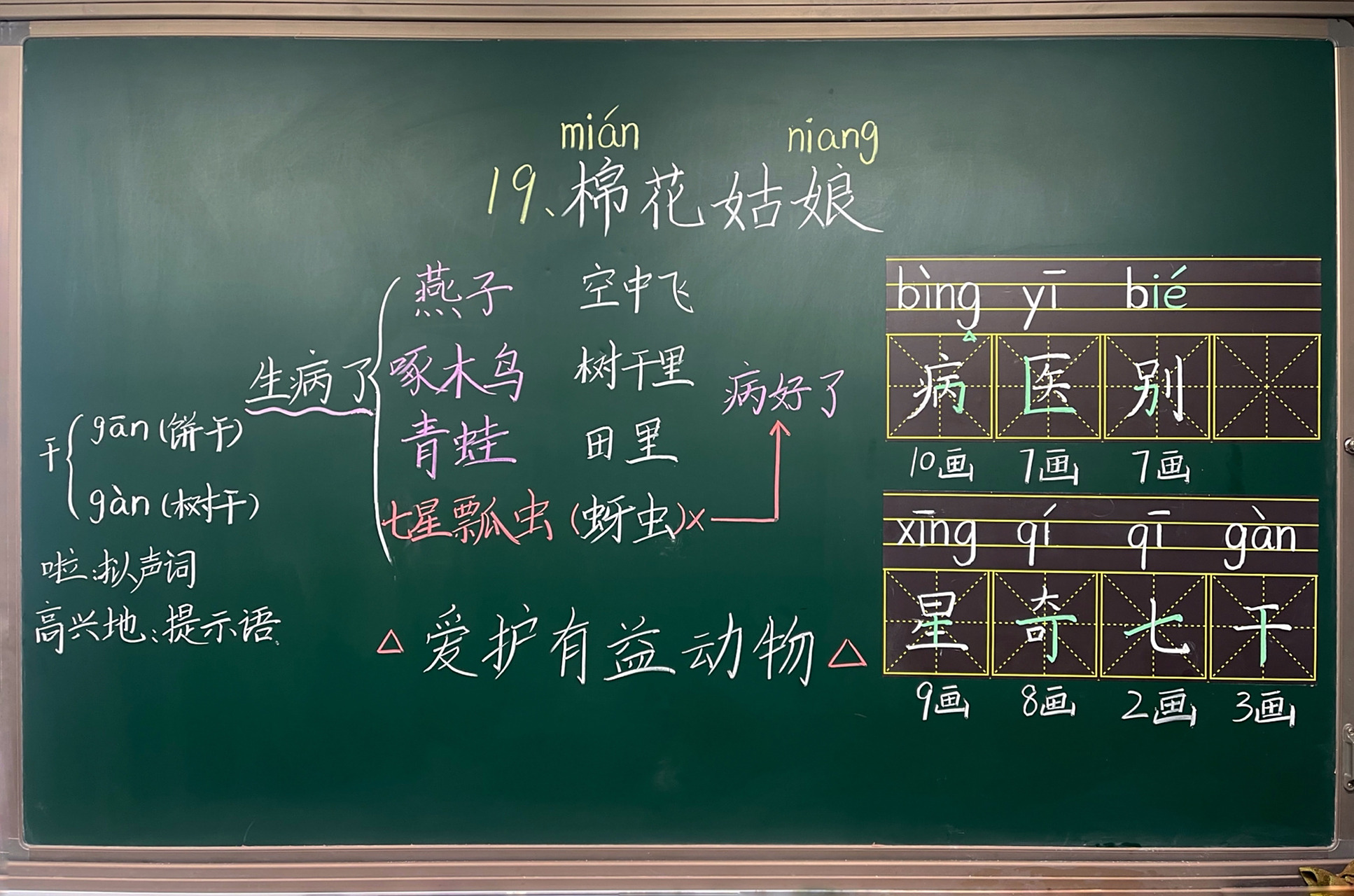 一下语文《棉花姑娘》教学板书 常态课(两课时)有点紧这节课的内容 我