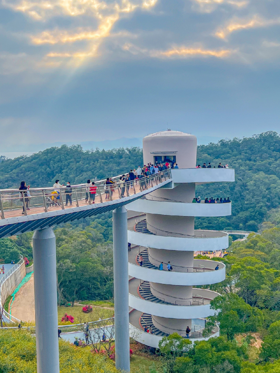 厦门山海步道林海线图片