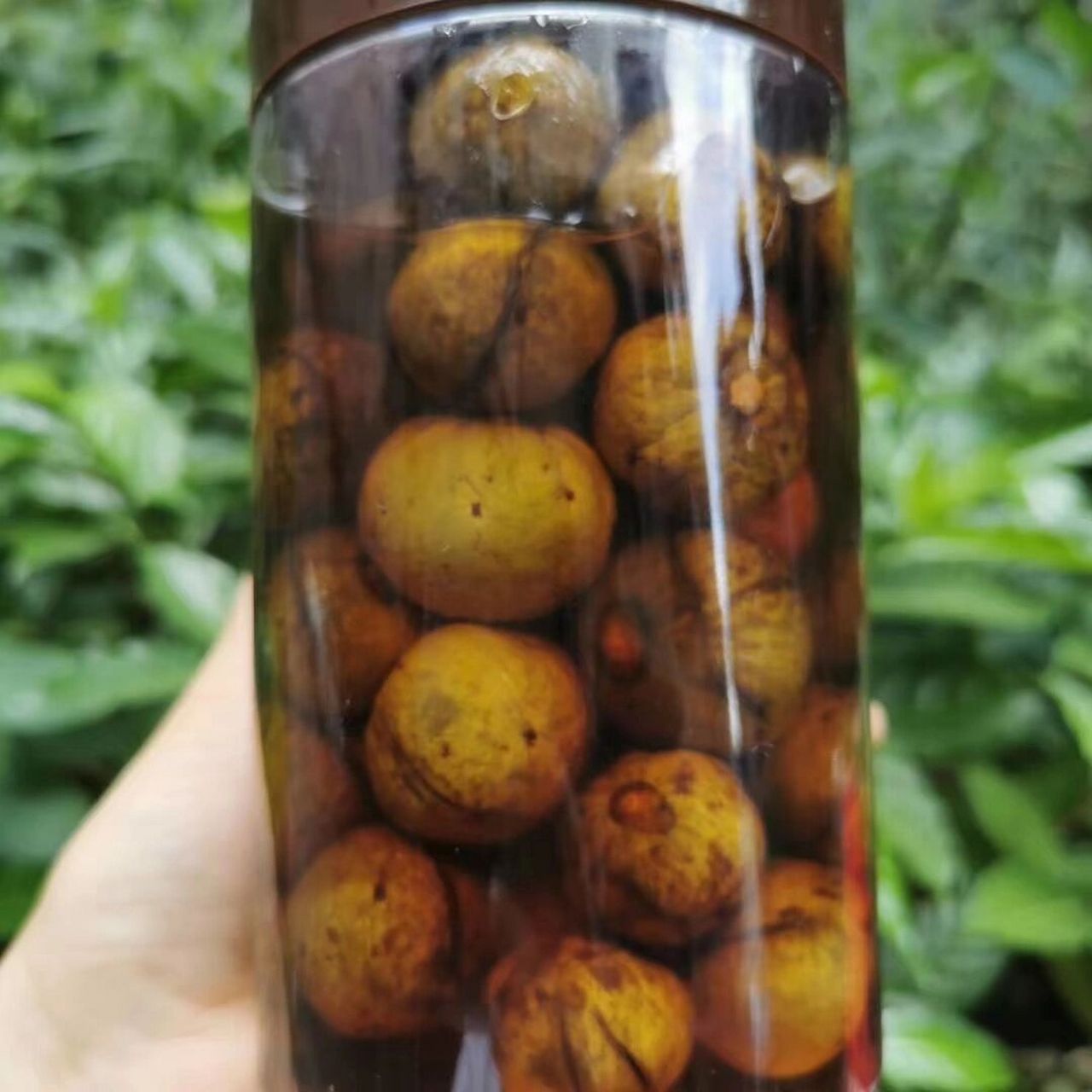 儿时味道 老传统腌制银捻果 秘制仁面果～独家秘制口味～ 越来越多