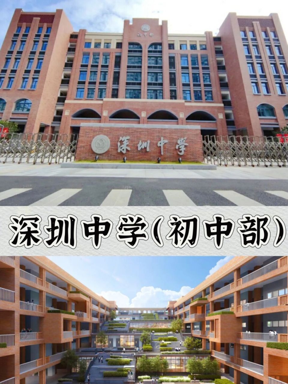 深圳中学龙岗初中部图片