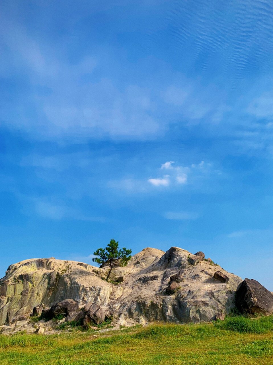 东莞厚街白石山农场|拍照打卡圣地 喜欢拍照的姐妹可以冲了,就在东莞