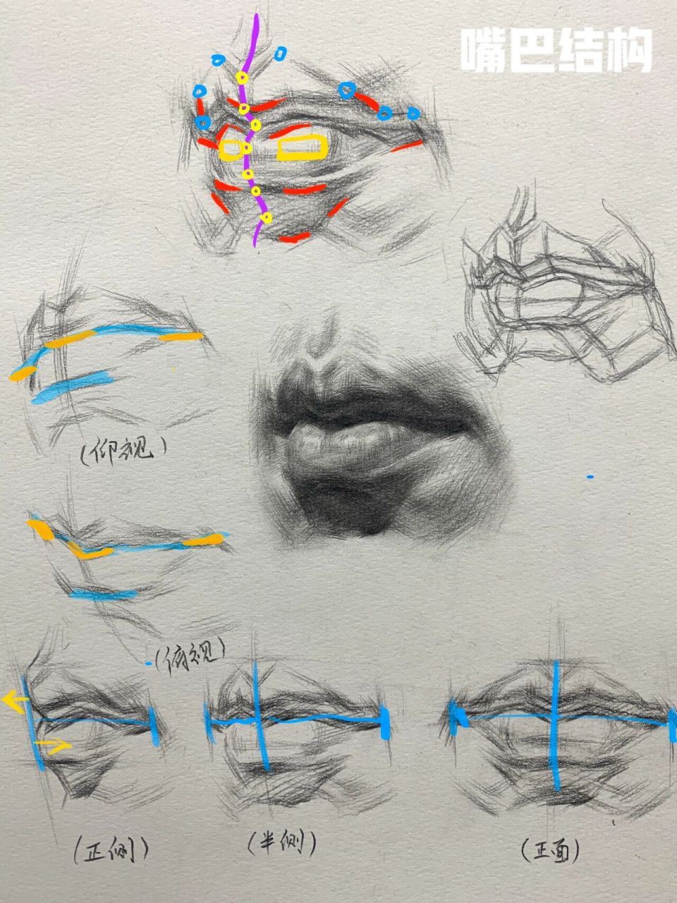 素描干货——嘴巴结构与步骤图
