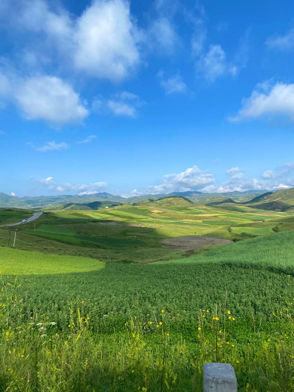 礼县草原旅游景点大全图片