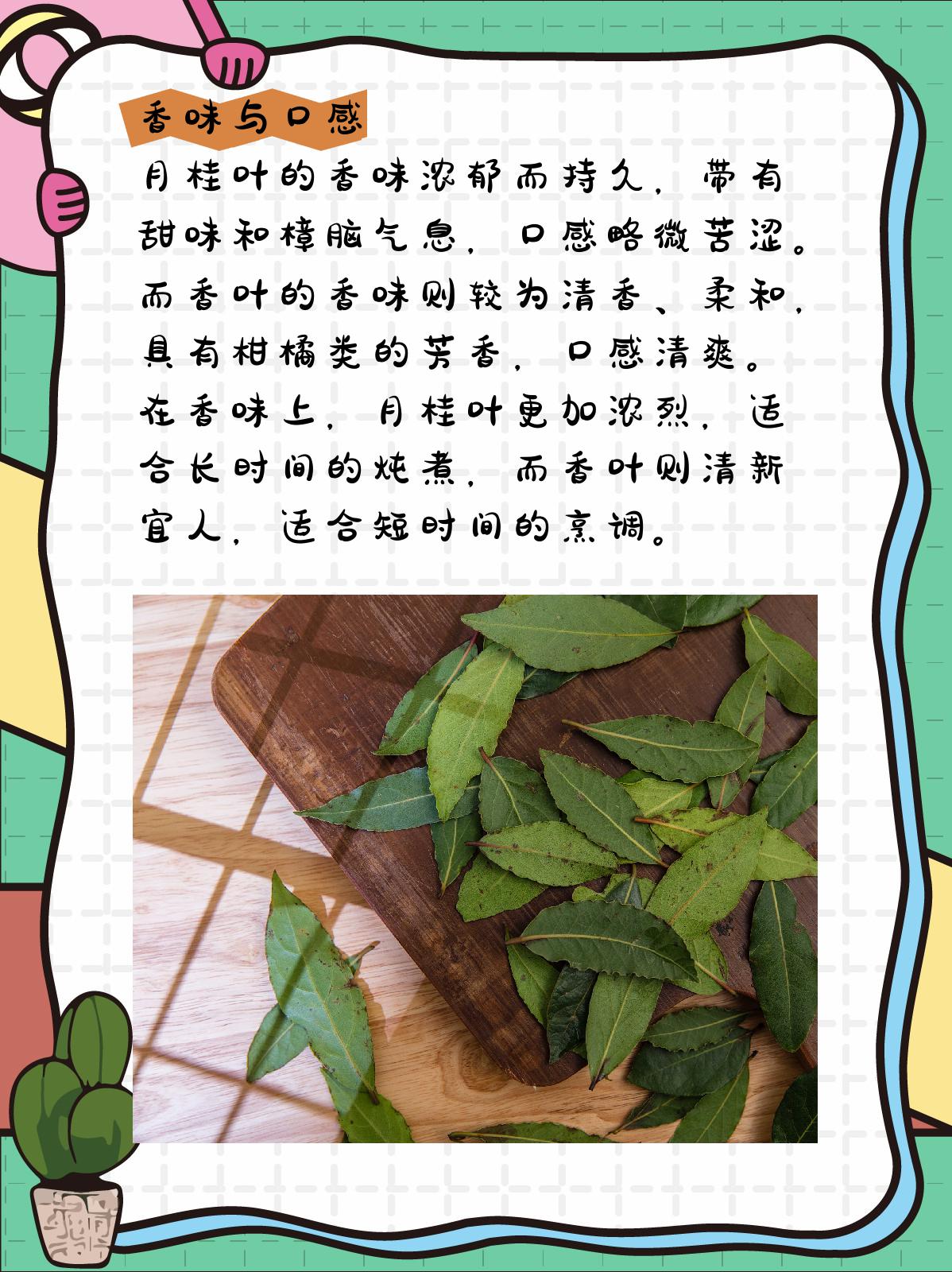 月桂叶和香叶的区别