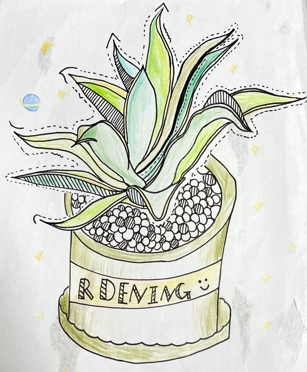 植物写生简单绘画图片