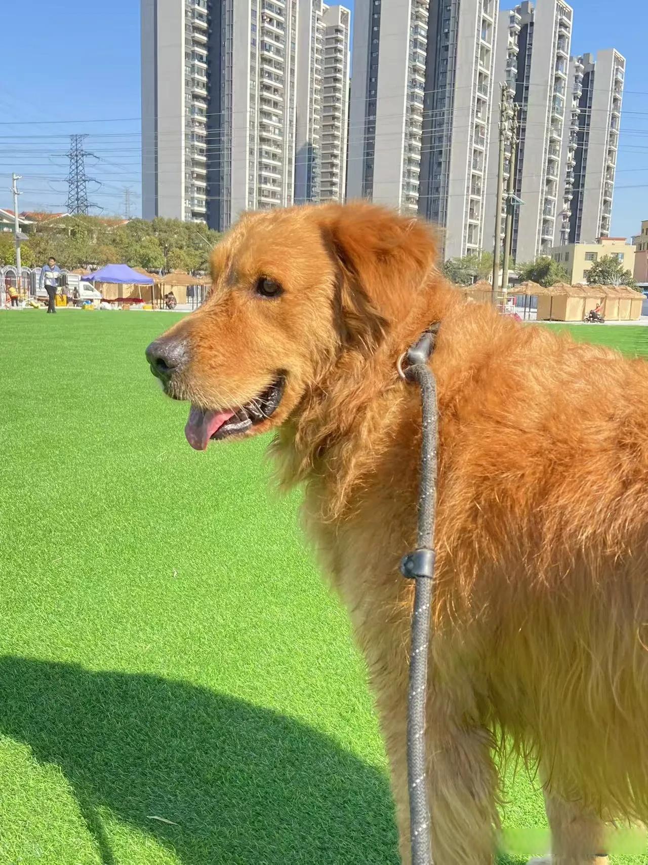 本可相信自己的所有, 那是灵魂深处的智谋