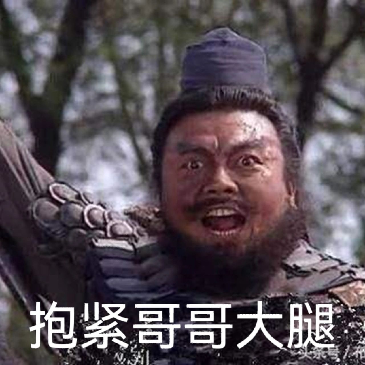 张飞表情包,哈哈哈哈