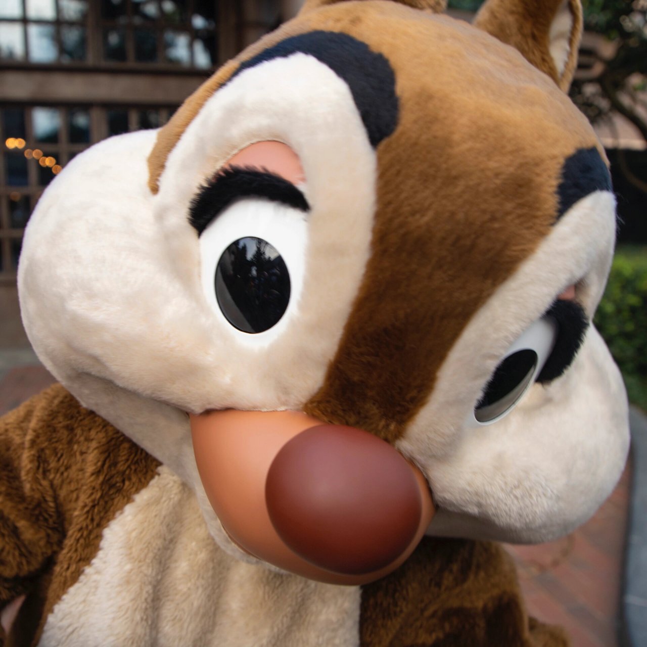 花栗鼠头像11.26