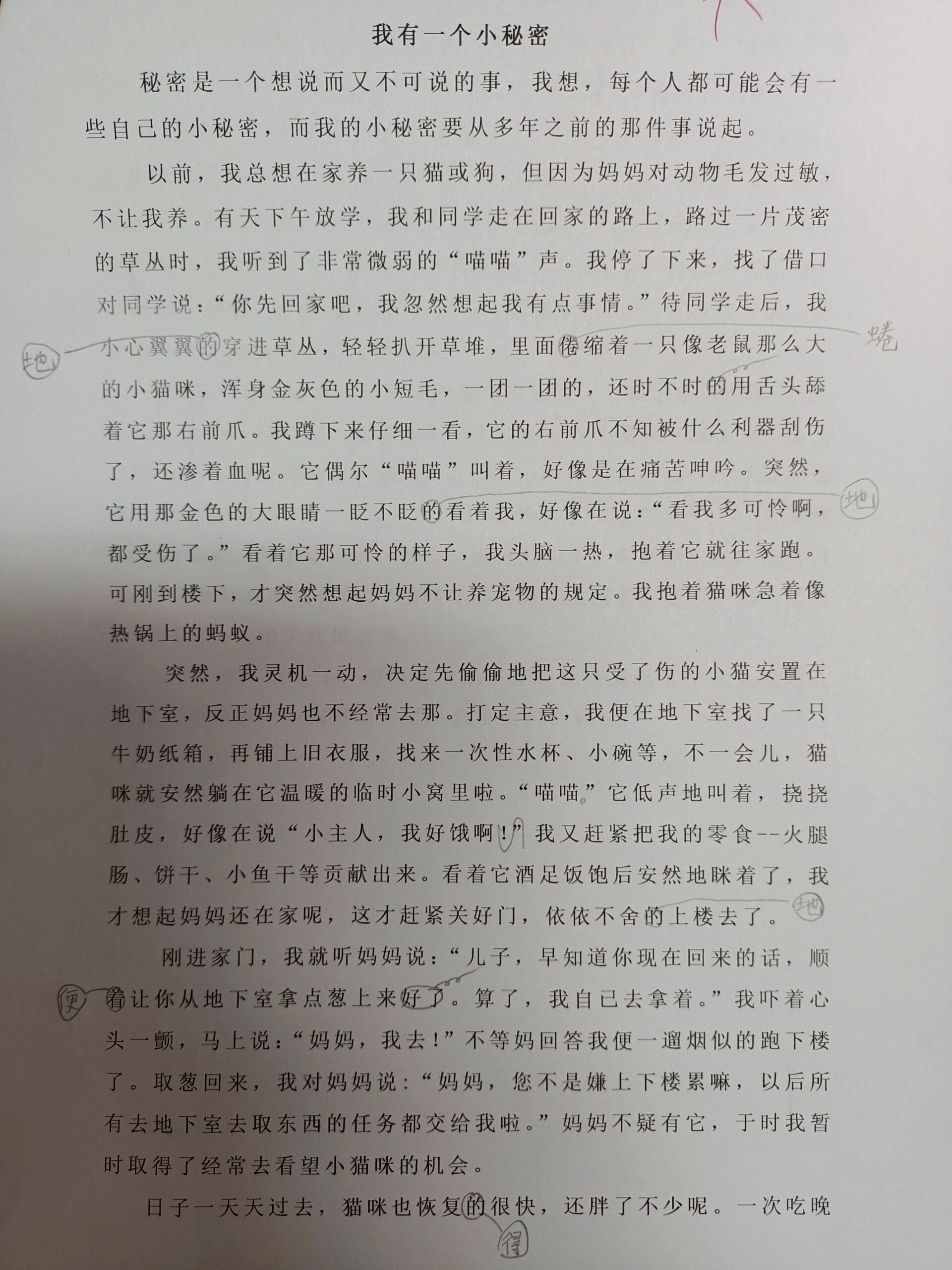 我有一个小秘密(修改版)