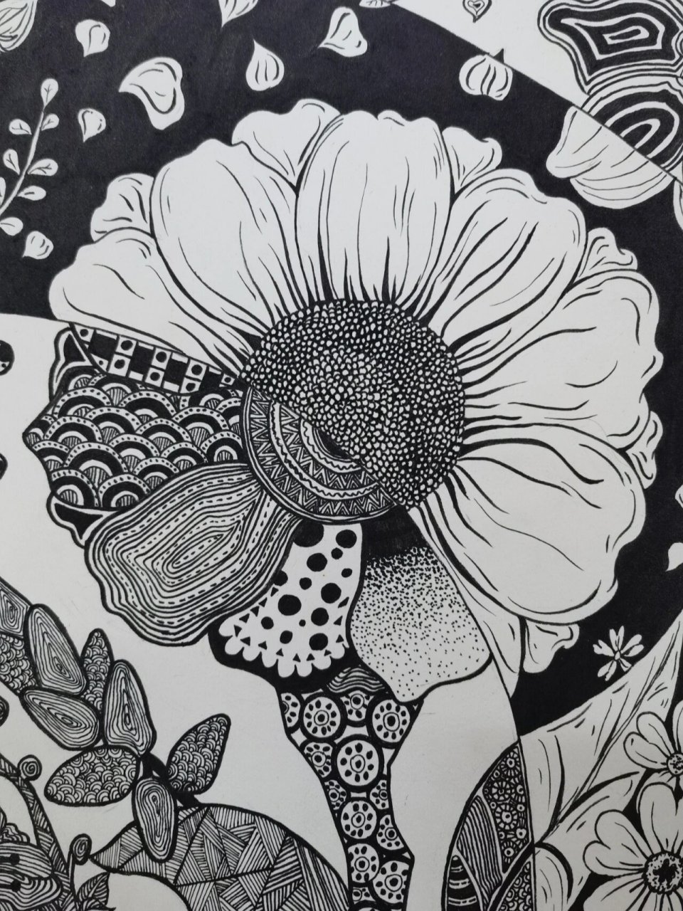 花卉装饰画 视觉传达设计作业 植物黑白装饰画 点线面装饰画